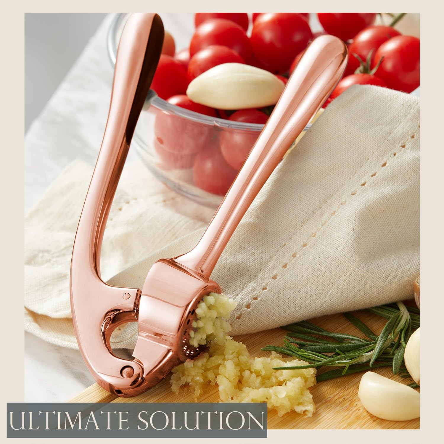 Garlic Press With Studs, Garlic Mincer, Ginger Crusher, Garlic Crusher Garlic Press With Studs, Garlic Mincer, Ginger Crusher, Garlic Crusher